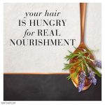 شامپو مو هیرفود حاوی روغن درخت چای و لاوندر مناسب انواع مو