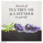 شامپو مو هیرفود حاوی روغن درخت چای و لاوندر مناسب انواع مو