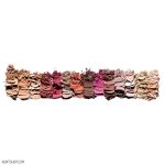 پالت سایه آناستازیا مدل Modern Renaissance