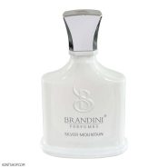 عطر جیبی زنانه برندینی مدل Silver Montain