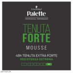 موس نگهدارنده حالت مو پلت مدل Tenuta Forte