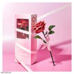 رژ گونه گل رز شیگلم