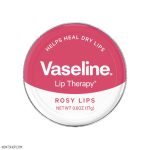 بالم لب کاسه‌ای وازلین حاوی عصاره گل رز