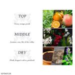 روغن بدن Fantastic دیر بادی