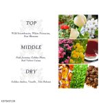 روغن بدن Sheer Beauty دیر بادی