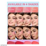 رژگونه استیکی شیگلم